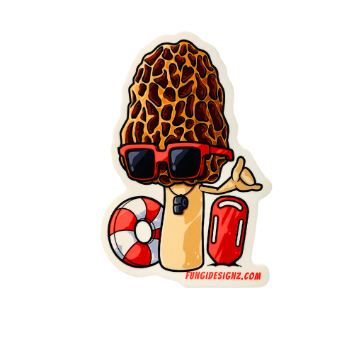 Morel morchella esculenta mushroom sticker by mac's mushroomz