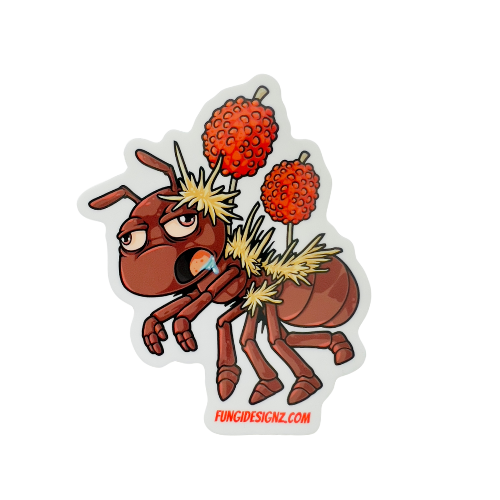 any the ant cordyceps mushroom sticker by mac's mushroomz